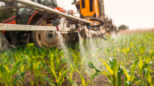 Best Commercial Pest Control Services  in Cedar Bluff, VA